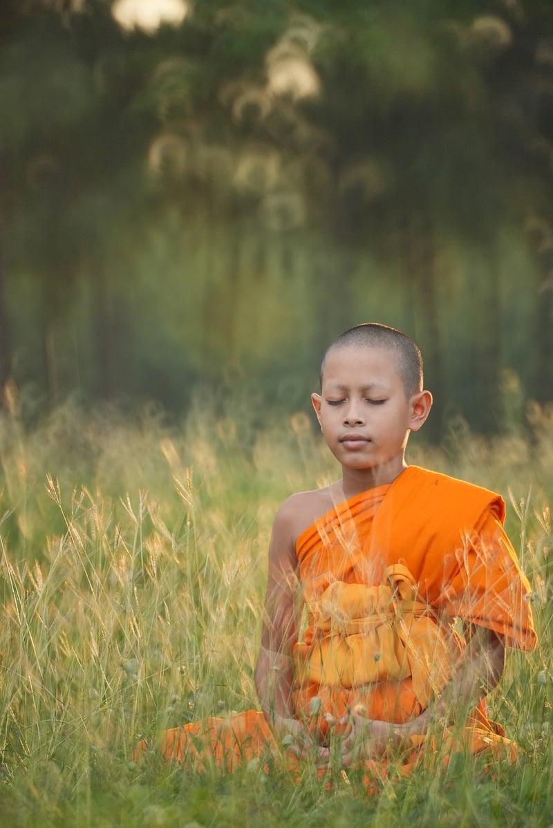 Hatha Yoga Posture